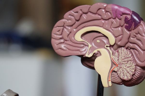 5 Essential Vitamins for Optimal Health